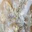 Mary Hong's Artists Splendor