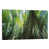 Wrapped Canvas