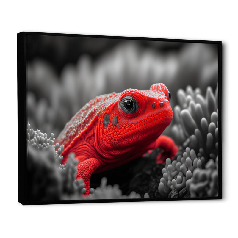 Créature sous-marine rouge - art mural bois côtier, H 30 po x l 40 po x P 1,5 po, Cadre flottant noir
