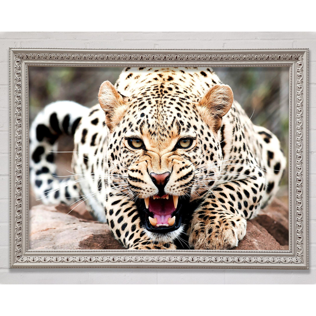 Amazing Cheetah - Bilderrahmen Kunstdrucke