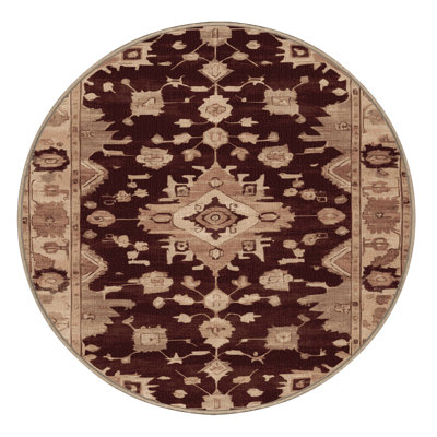 Machine Washable Overdyed Brown Area Rug