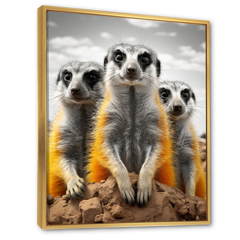 Reproduction sur toile Zikomo, H 40 po x l 30 po x P 1,5 po, Cadre flottant doré