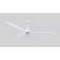 Alessandra 72'' Ceiling Fan