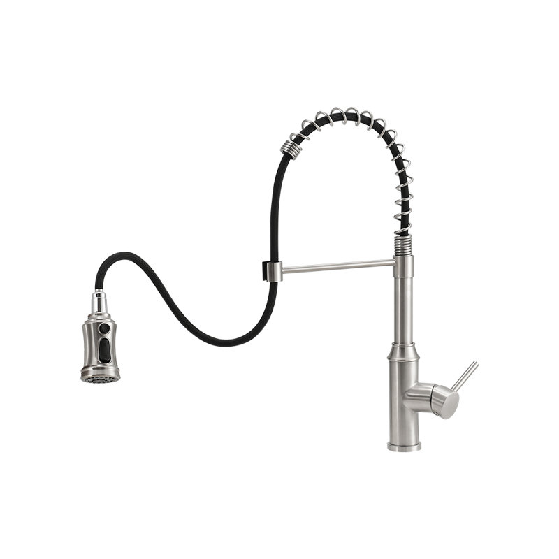Belfry Kitchen Pull Out Kitchen Faucet, Silver
