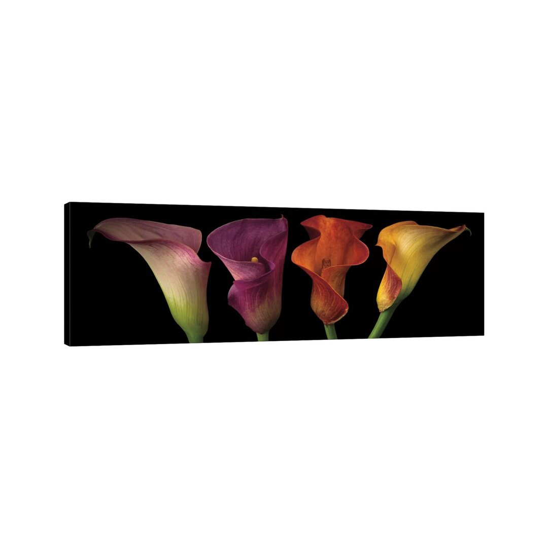 Leinwandbild Jewel Calla Lilies von Assaf Frank