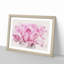Pink Petals of a Chrysanthemum - Picture Frame Graphic Art Print-56892287-56892286