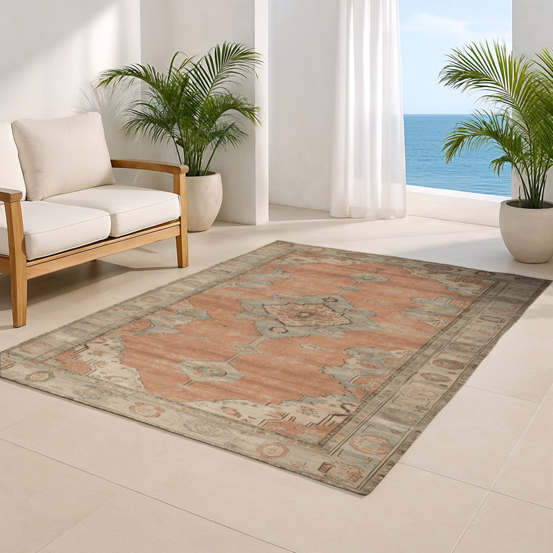 Tapis intérieur et extérieur brun Overdyed, Rectangulaire 2 pi x 3 pi