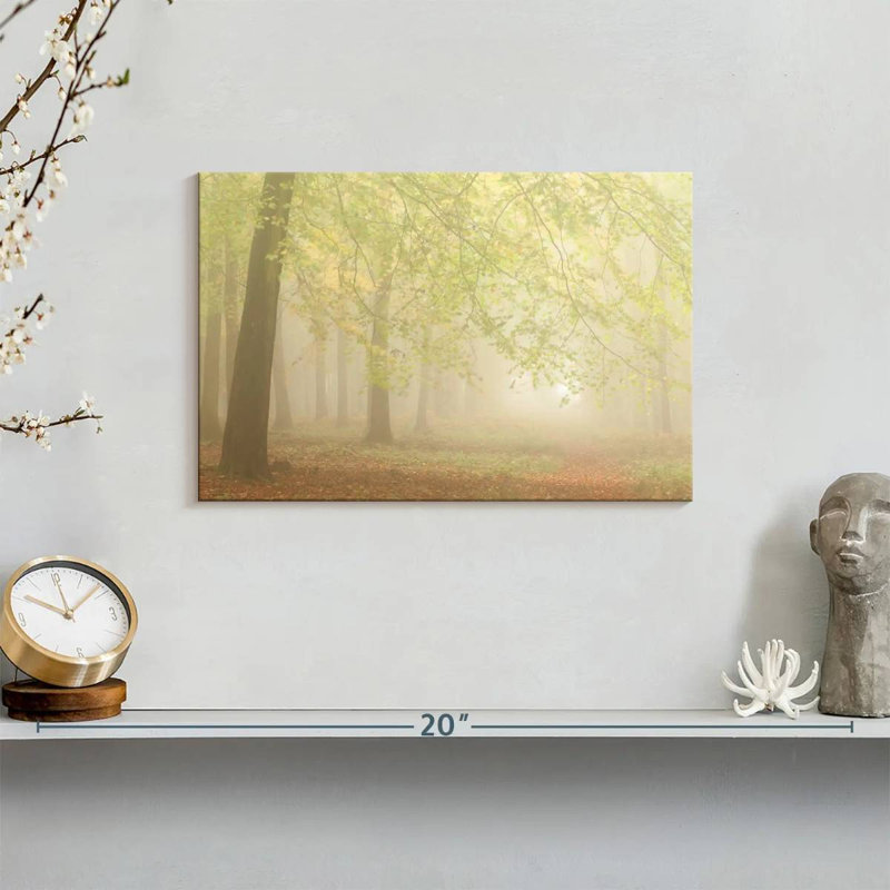 Forest Fog I
