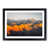 Black Framed