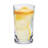 15 oz. Acrylic Drinking Glass Set