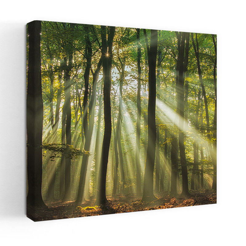 Art contemporain contemporain, paysage de forêt abstrait, H 48 po x l 48 po