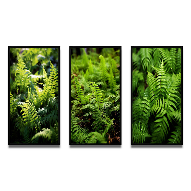 «Green Fern Fond», 3 pièces sur toile, Cadre flottant noir, H 40 po x l 60 po