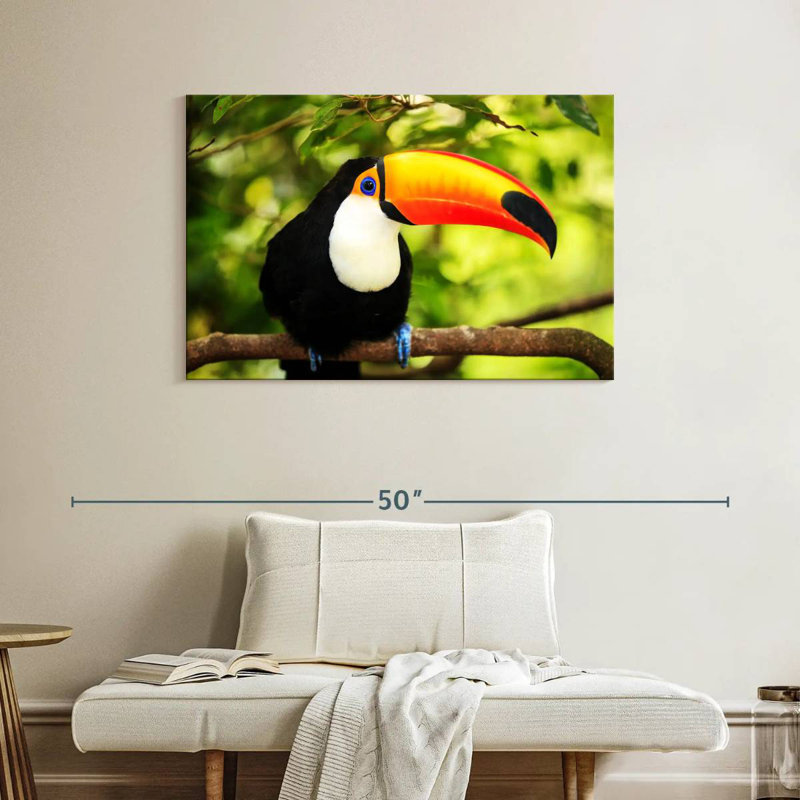 Brampt Toco Toucan