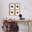 Ensemble de 4 plaques murales Leopard