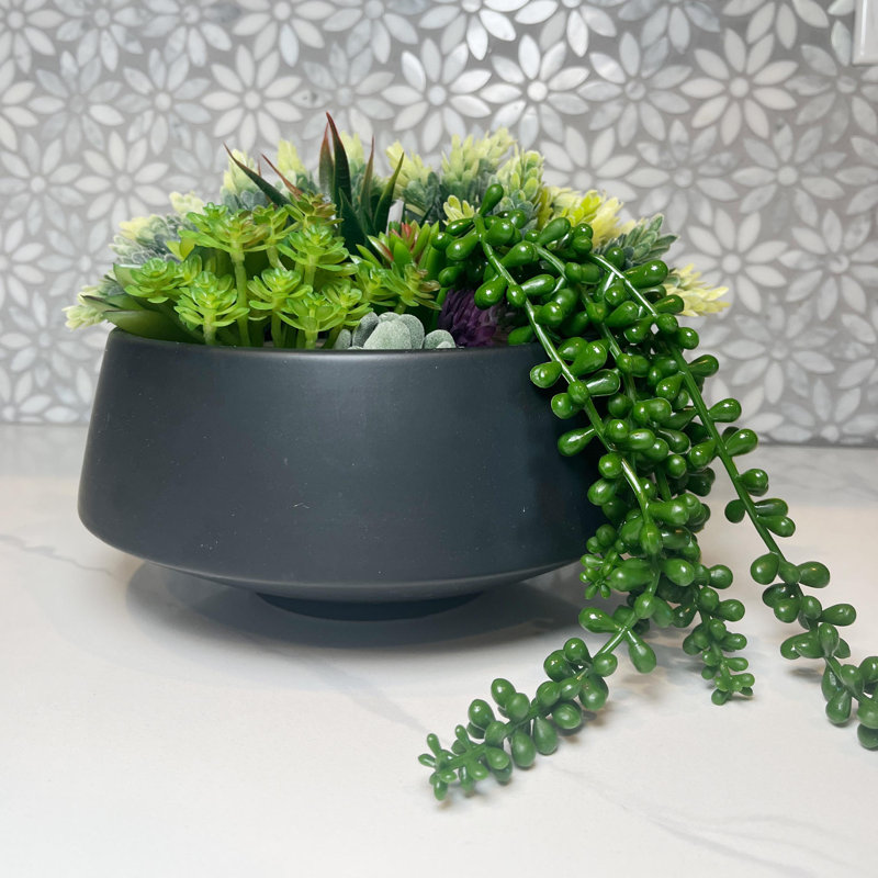 Black Ceramic Indoor Succulent Planters Set of Two