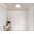 Dimmable Round Flush Mount