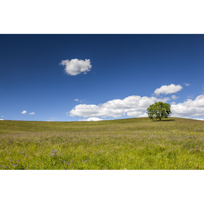 Summer Meadow with Lonely Tree by 35007, 8" H x 12" W