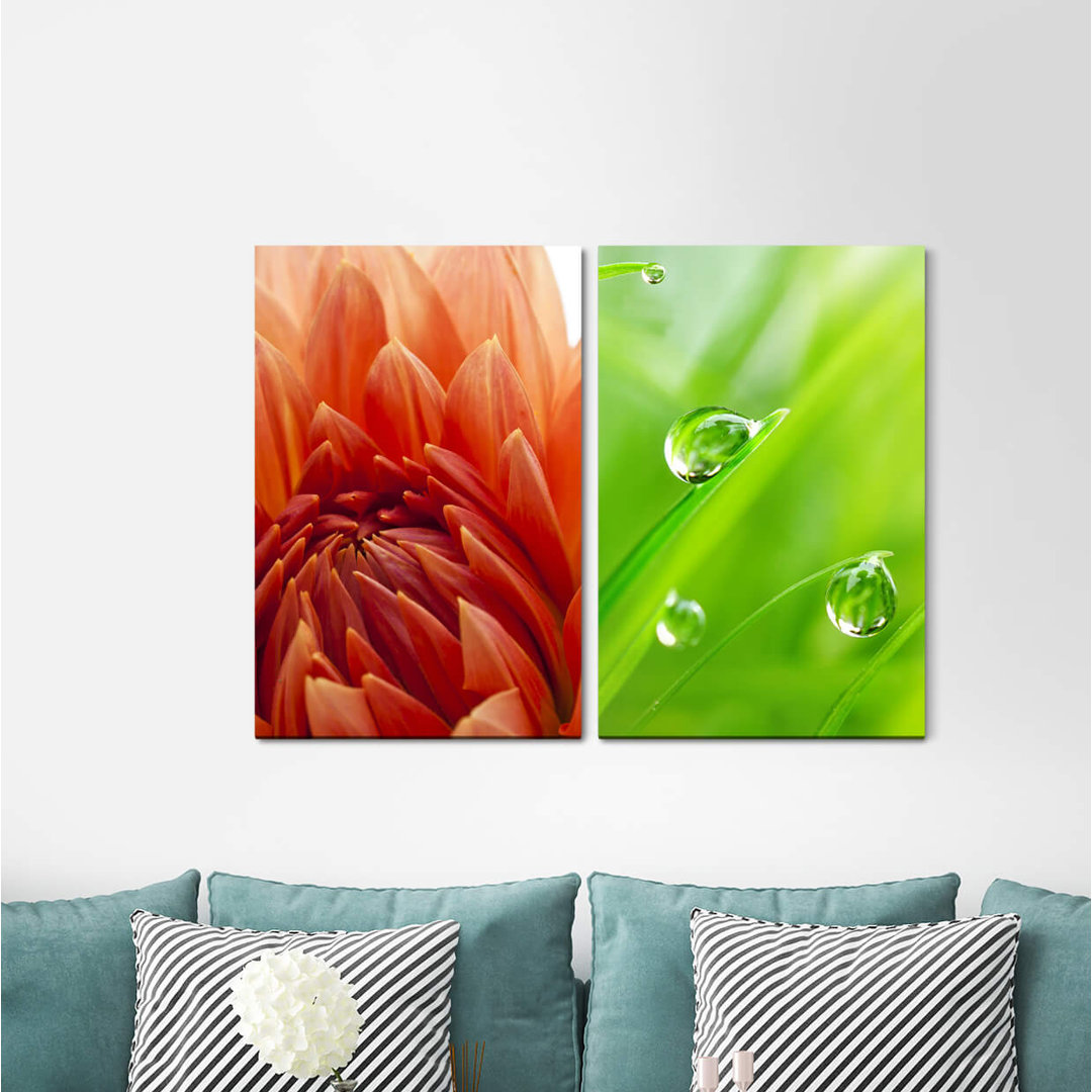 2-tlg. Leinwandbilder-Set - Fotografie „Dahlia Flower Blades of Grass Water Drops Fresh Green”