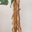 Arbre ficus artificiel en pot-48936679