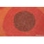 Scandinavian One-of-a-Kind Rectangle 4' X 6' Area Rug