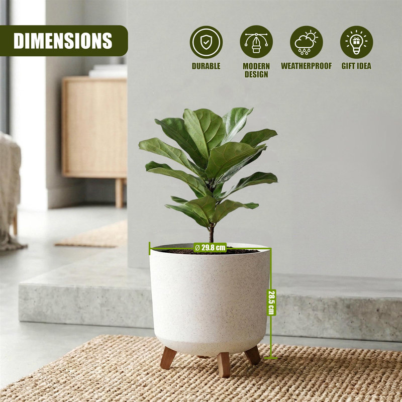 Pot Planter