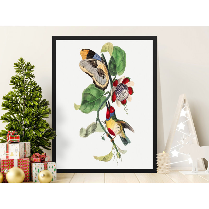 Charae Single Picture Frame Print, 35.56cm H x 27.94cm W