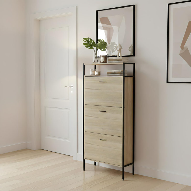 10 Pair Shoe Storage Cabinet