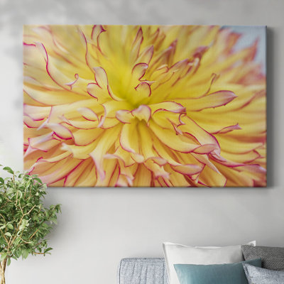 Toile tendue Blooms III-Gallery