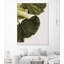 "Abutifolia No1" par Shot