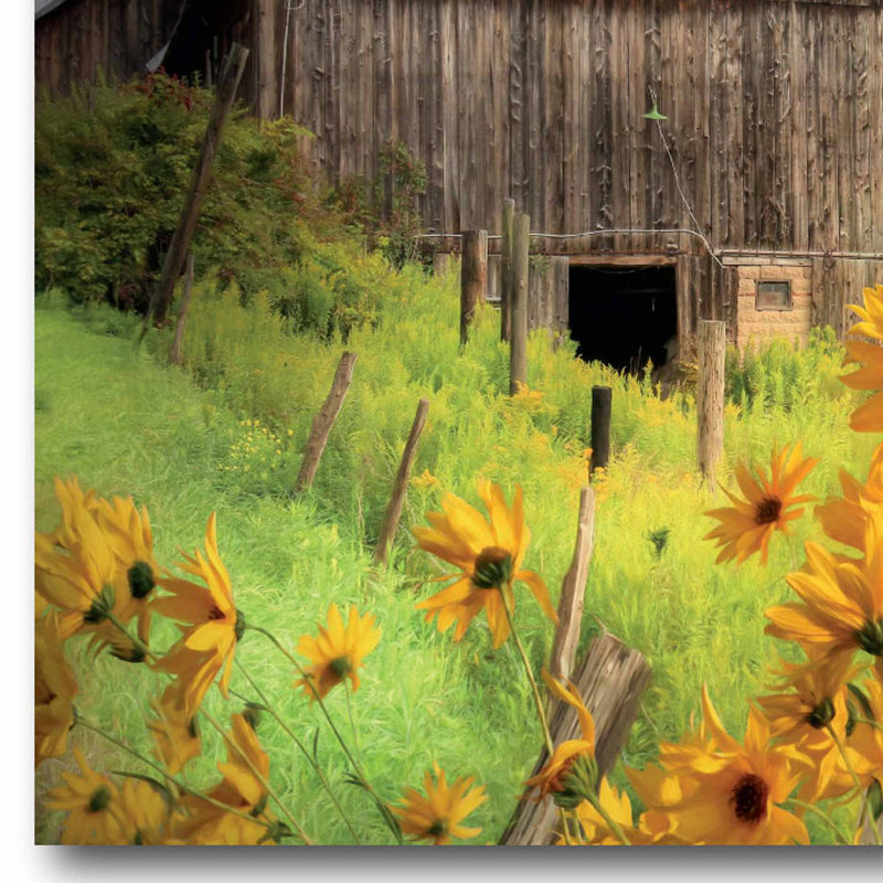 « Farm & Sunflower », reproduction de photo sur toile, H 16 po x l 20 po x 1,5 po