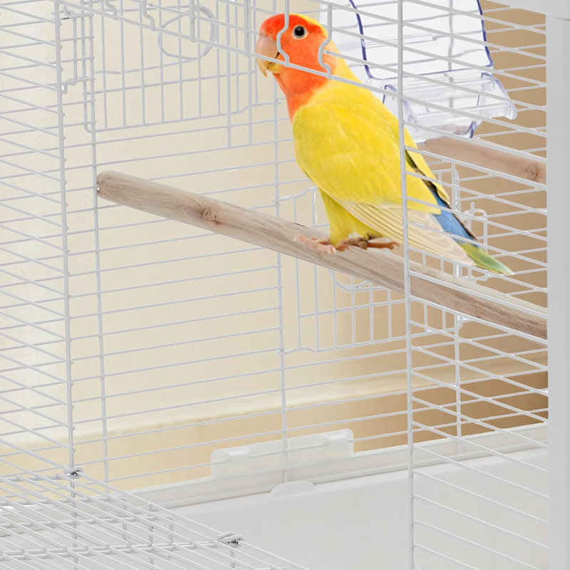 Bird Cage For Small Birds