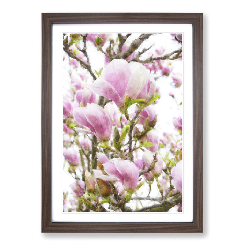 Pink Magnolia Blossom Flowers - Framed Print, 36cm H x 27cm W x 2cm D, Walnut Framed