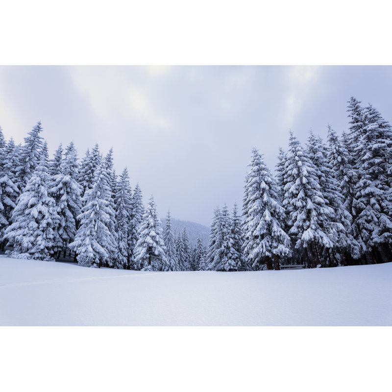 Frosty Winter Day - Wrapped Canvas Print, 30cm H x 46cm W
