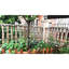 Rustproof Iron Garden Trellis Elegant Design Outdoor Climbing Plant Support