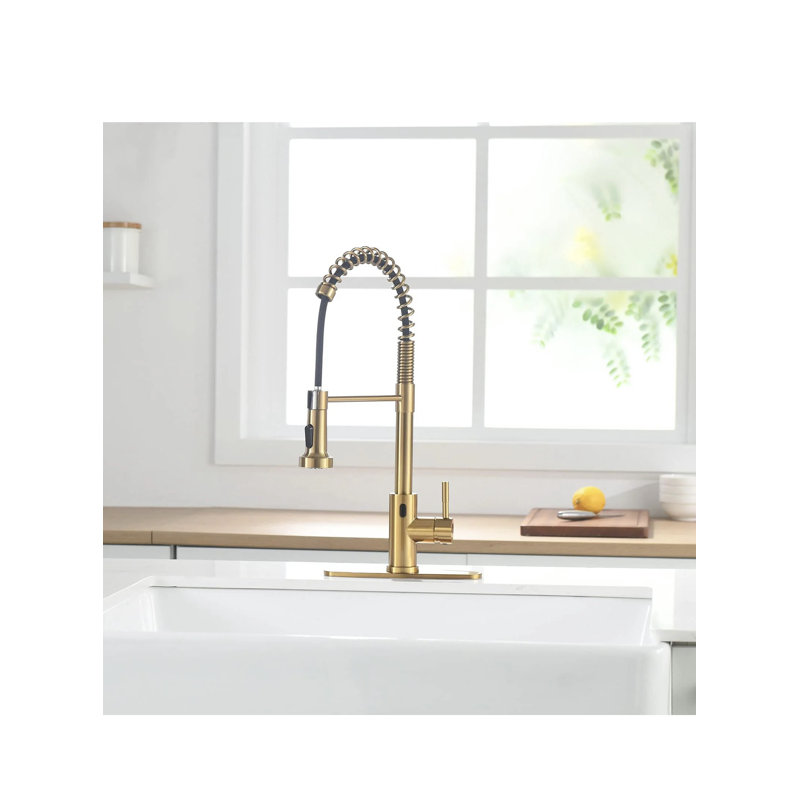AvaMalis Pull Down Kitchen Faucet, Gold