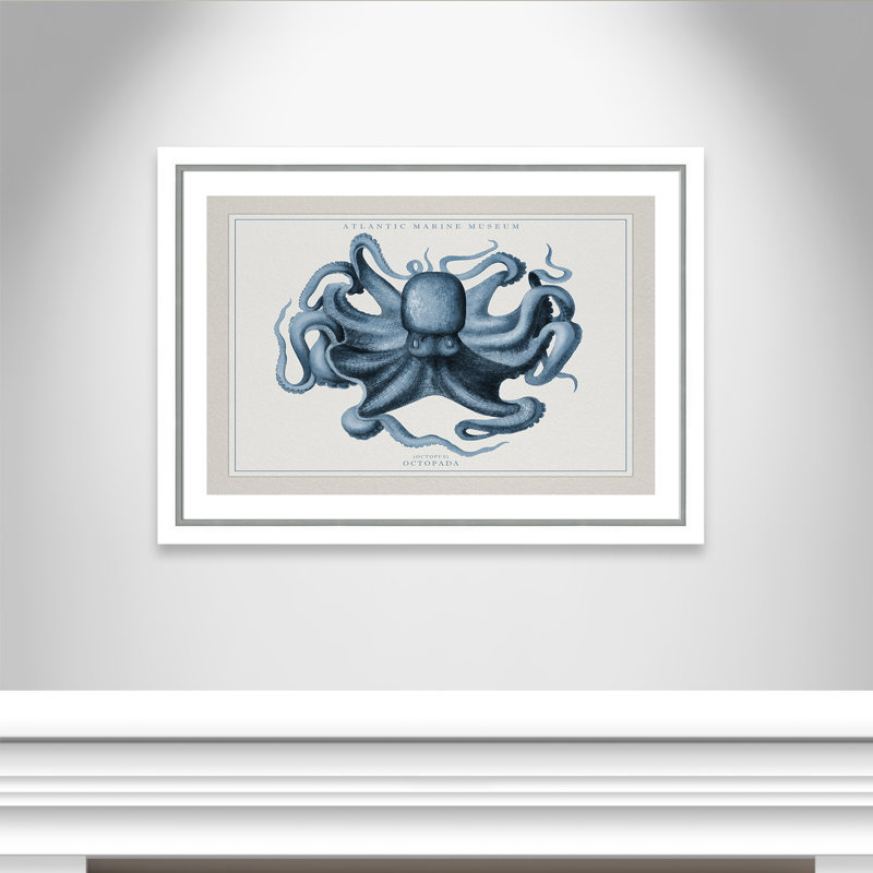 «Atlantic Marine Museum Octopus II», cadre photo, Papier encadré blanc / argent, H 31,75 po x l 43,75 po x P 1,125 po