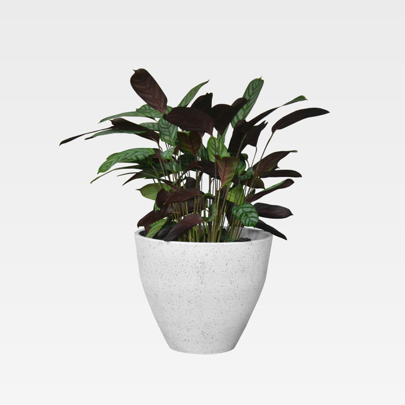 Pot Planter