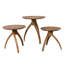 Vikram Solid Wood End Table-1744372561