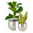 Silver Cache Pot Planters