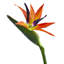 Artificial Floral Arrangement