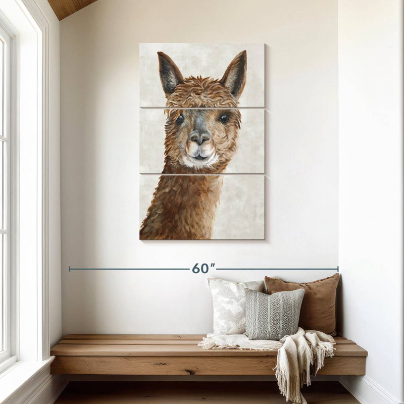 Brampt Suri Alpaca II, H 45 po x l 28 po