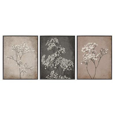 Ensemble de 3 reproductions d'art sur toile Stupell Industries Botanical Baby's Breath Herbs par Ros Ruseva