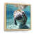 Brown Floater Framed