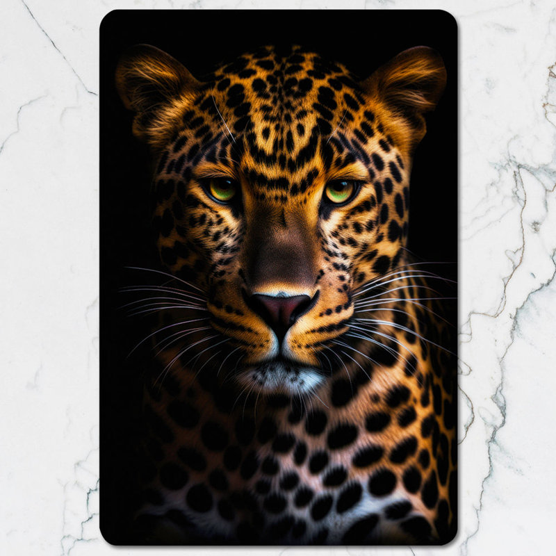 Leopard Print Placemats And Coasters Set 12 Pieces 11x8 Placemats Wood Bottom