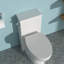 Toilette une pièce en céramique