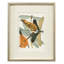 Insect Assemblage II Print