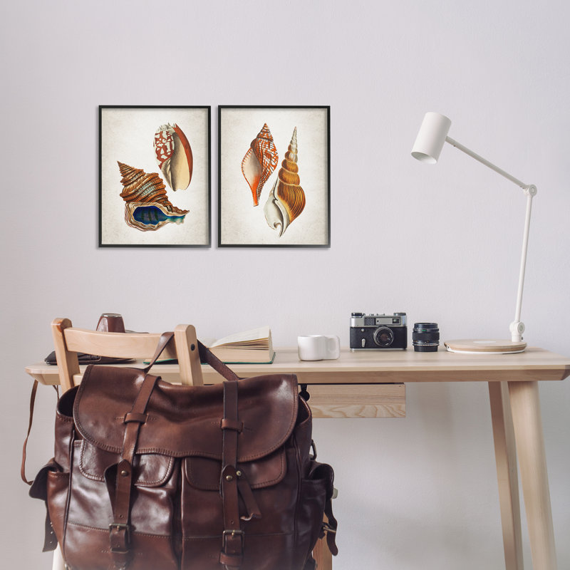 «Twin Shells Motifs», ensemble de 2 giclées encadrées, design par Kim Allen, H 14 po x l 11 po, Giclée encadrée noir minuit