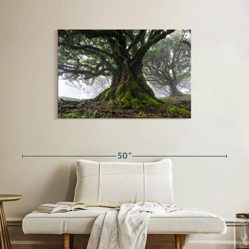 Harnek Mossy Old Trees, 26" H x 39" W