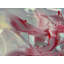 What's the Color of Gratitude by Fanyu Lin - Wrapped Canvas Painting