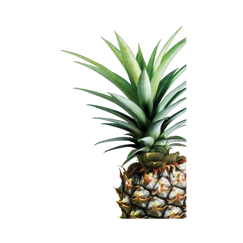 Pineapple by Lexie Greer - Gallery-Wrapped Canvas Giclée on Canvas, Wrapped Canvas, 20.32 cm H x 30.48 cm W